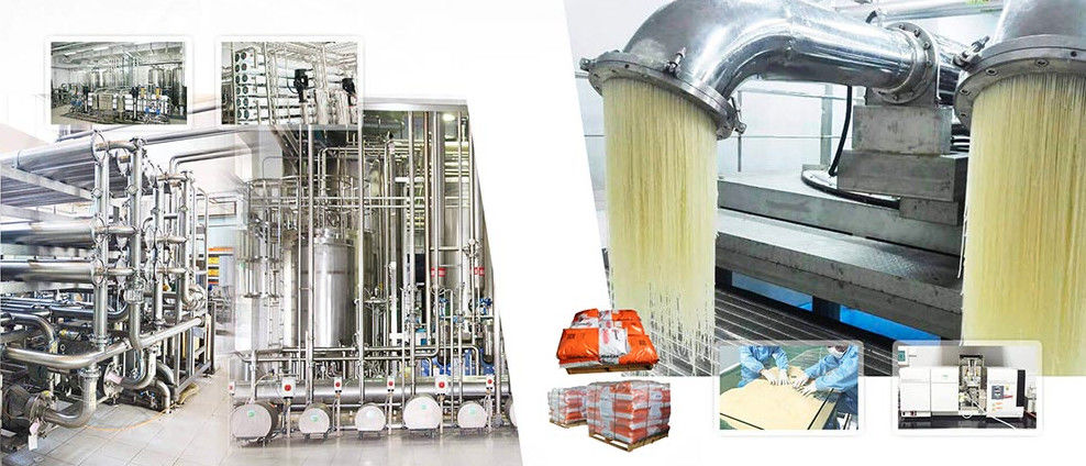 SHANGSHUI FUYUAN GELATIN CO. 製造者の生産ライン
